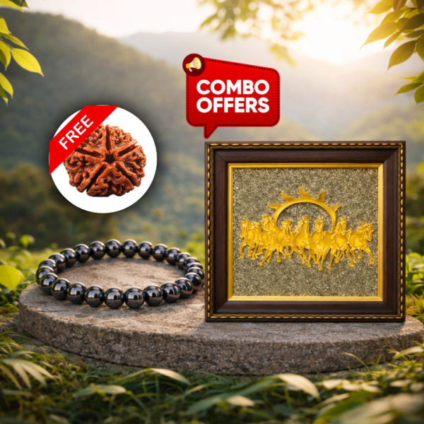 7 Horses Raw Pyrite Frame with Magnetite Bracelet Free 5 Mukhi Rudraksha